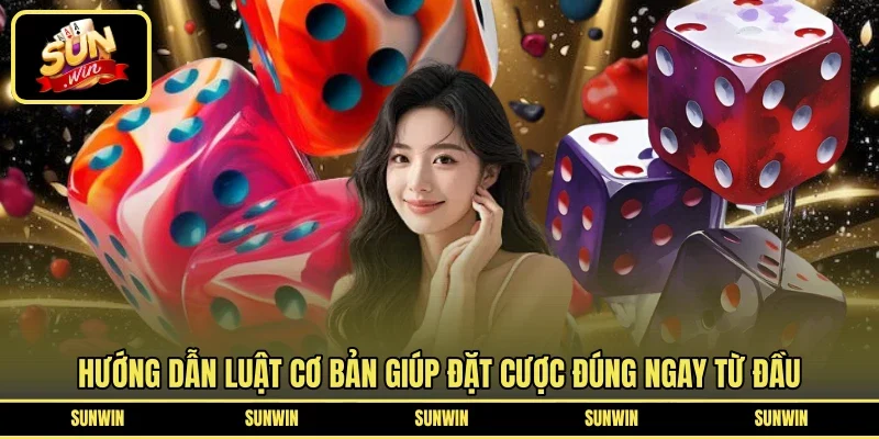 Hướng dẫn luật cơ bản giúp đặt cược đúng ngay từ đầu
